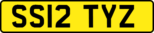 SS12TYZ