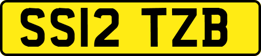 SS12TZB