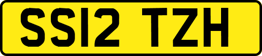 SS12TZH