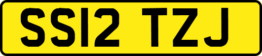 SS12TZJ