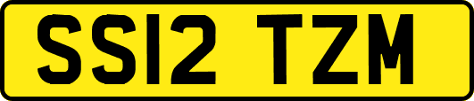 SS12TZM