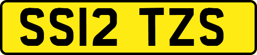 SS12TZS