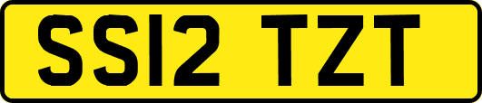 SS12TZT