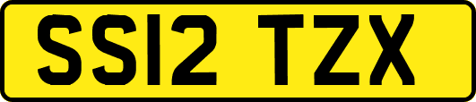 SS12TZX