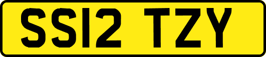 SS12TZY