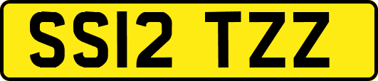 SS12TZZ