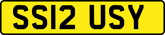 SS12USY