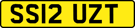 SS12UZT