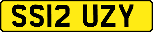 SS12UZY