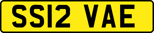 SS12VAE
