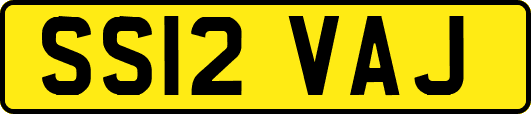 SS12VAJ