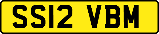 SS12VBM