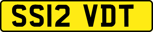 SS12VDT