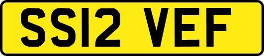 SS12VEF