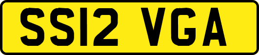 SS12VGA