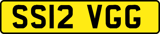 SS12VGG