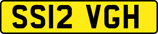 SS12VGH