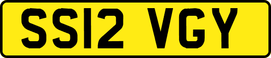 SS12VGY