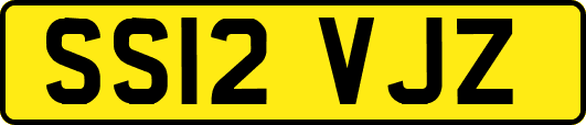 SS12VJZ