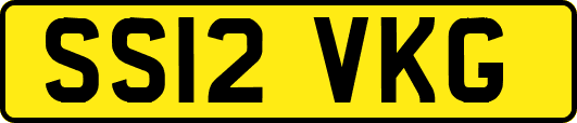 SS12VKG