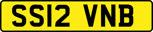 SS12VNB