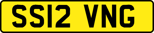 SS12VNG