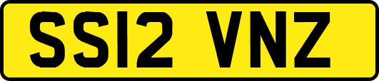 SS12VNZ