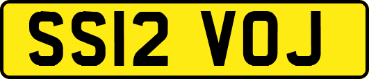 SS12VOJ