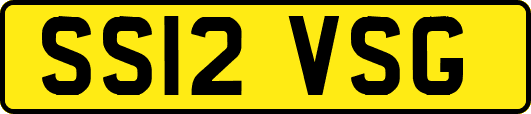 SS12VSG