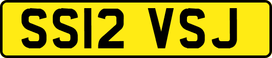 SS12VSJ