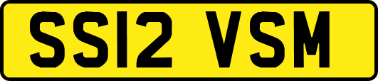 SS12VSM