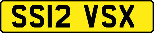 SS12VSX