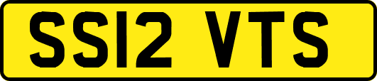 SS12VTS