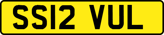 SS12VUL