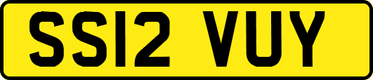 SS12VUY