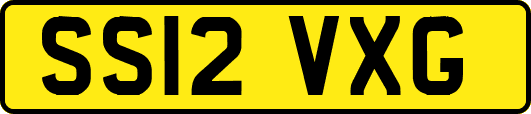 SS12VXG