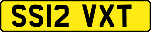 SS12VXT