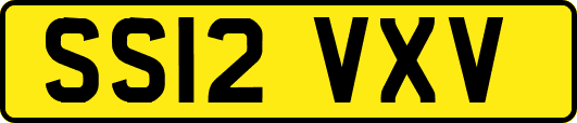 SS12VXV