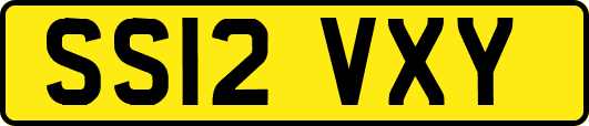 SS12VXY