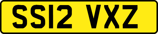 SS12VXZ