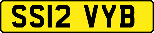 SS12VYB