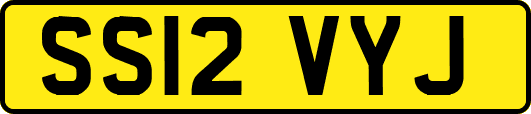 SS12VYJ