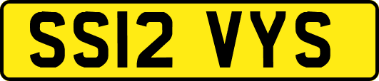 SS12VYS
