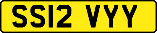 SS12VYY