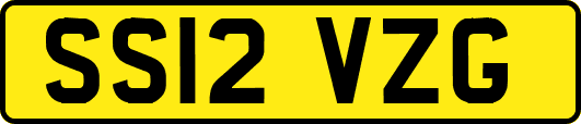 SS12VZG