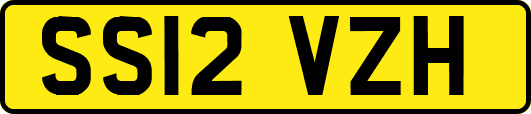 SS12VZH
