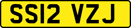 SS12VZJ