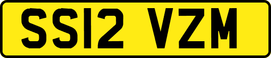 SS12VZM