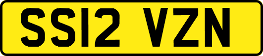 SS12VZN