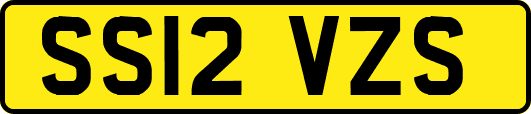 SS12VZS